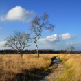 /album/de-omgeving/ven-jpg/