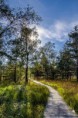 /album/de-omgeving/knuppelpad-jpg/