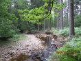 /album/de-omgeving/img-4789-jpg/