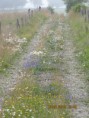 /album/de-omgeving/img-4750-jpg/